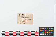 Etiketten zu Bronzepetschaftkopfnadel (NHMW-PRAE-024774)